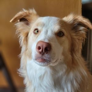 Meet your Posher, Nieva